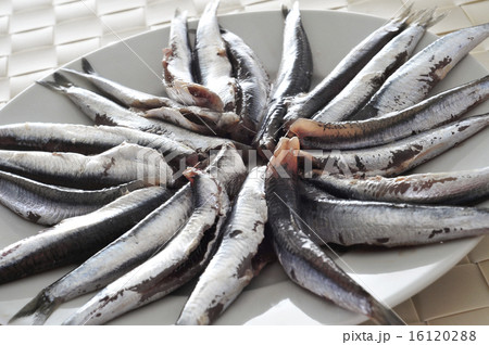 raw spanish boquerones, anchovies typical in Spain 16120288