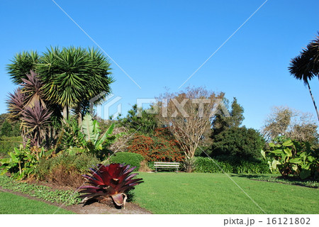 bench at the park 16121802