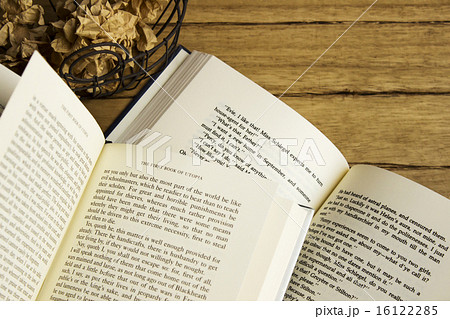 英語の本 16122285