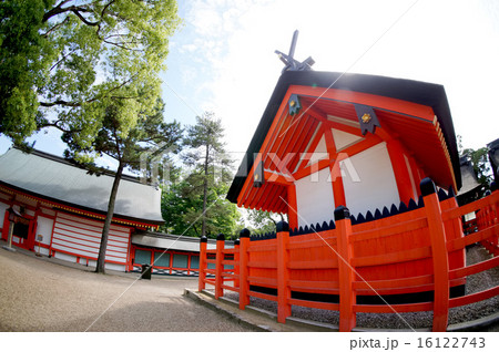 住吉大社の第四本宮 住吉大社の第四本宮 16122743