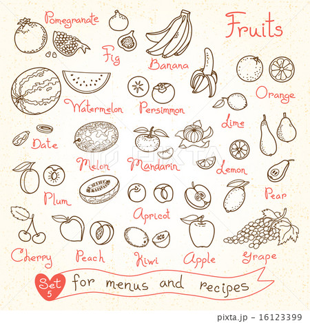 Set drawings of fruit for design menus, recipes and packages product. 16123399