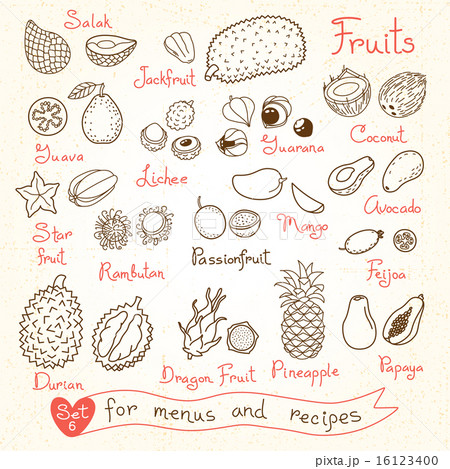 Set drawings of fruit for design menus, recipes and packages product. 16123400