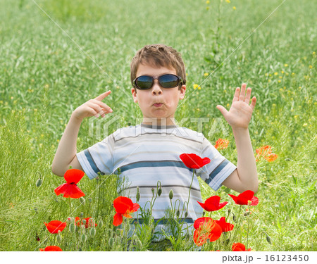 boy on red flower meadow boy on red flower meadow 16123450