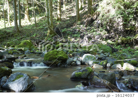 自然 川 自然 川 16124037