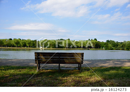 東京都葛飾区水元公園のベンチの写真素材 [16124273] - PIXTA