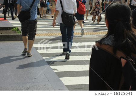 横断歩道 16125041