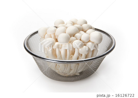 ホワイトぶなしめじ 16126722