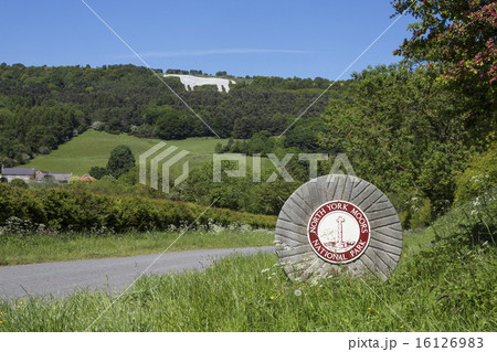 The White Horse near Kilburn - Yorkshire - England 16126983