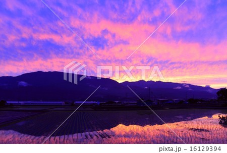 櫛形山の夕焼け 櫛形山の夕焼け 16129394