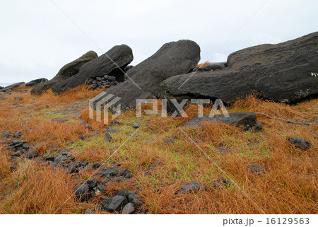 チリ　イースター島　倒れたモアイ 16129563