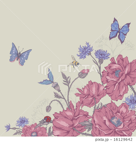 Summer Vintage Greeting Card with Blooming Poppies  16129642