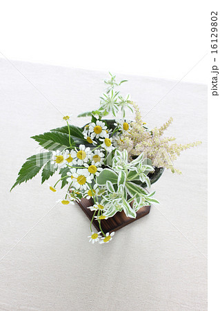 ハツユキソウとアスチルベとマトリカリアの生け花（縦　全体） 16129802