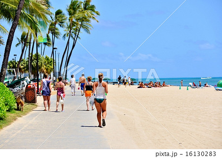 ハワイの休日 16130283