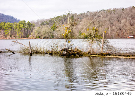 pee dee and yadkin river   16130449
