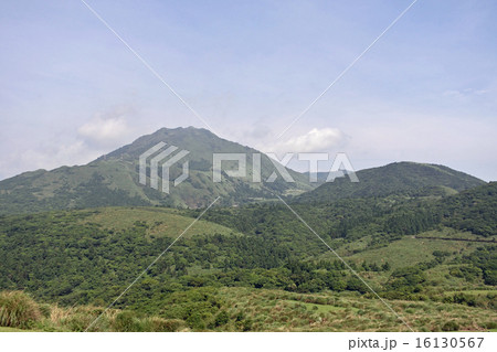 台北 陽明山の山麓 チン天崗草原(擎天崗草原 チンテンガン草原 青天港草原) 七星山を望む 台北 陽明山の山麓 チン天崗草原(擎天崗草原 チンテンガン草原 青天港草原) 七星山を望む 16130567