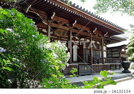 高幡不動尊(大日堂) 高幡不動尊(大日堂) 16132154