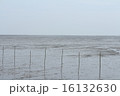 有明の干潟 16132630