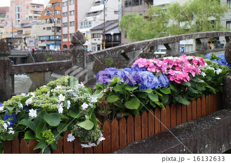 紫陽花と眼鏡橋② 紫陽花と眼鏡橋② 16132633
