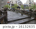 雨に濡れた眼鏡橋 16132635