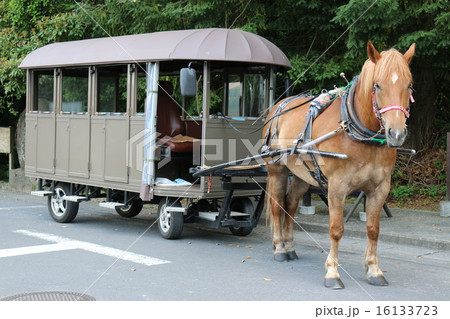 湯布院　辻馬車 16133723