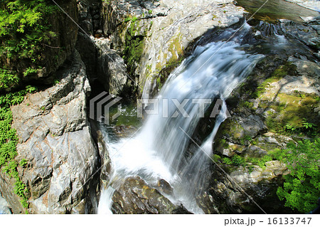 みたらい渓谷　新緑　奈良県　天川村 16133747