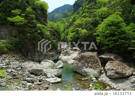 みたらい渓谷 新緑 奈良県 天川村 みたらい渓谷 新緑 奈良県 天川村 16133753
