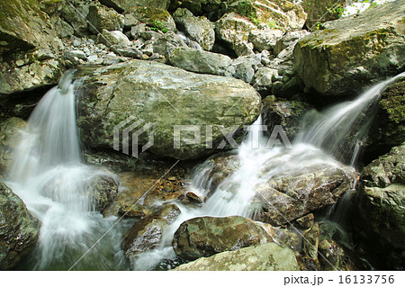 みたらい渓谷　新緑　奈良県　天川村 16133756