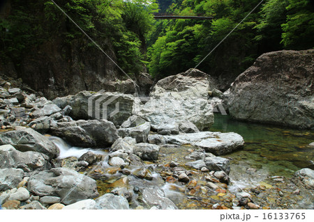 みたらい渓谷 新緑 奈良県 天川村 みたらい渓谷 新緑 奈良県 天川村 16133765