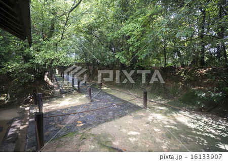 慈光院参道　雨上がり 16133907