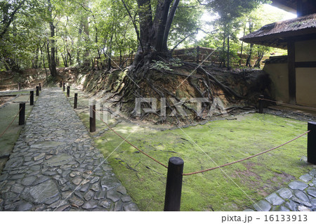 慈光院参道　雨上がり 16133913