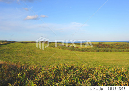 宗谷丘陵 16134363