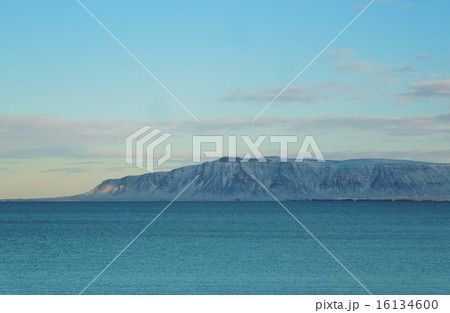 奇跡の対岸 奇跡の対岸 16134600