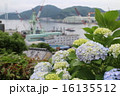 グラバー園からの風景と紫陽花① 16135512