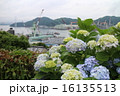グラバー園からの風景と紫陽花② 16135513