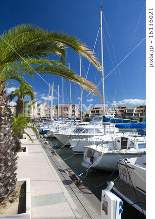 Sailing Boats in the marina of Gruissan Sailing Boats in the marina of Gruissan 16136021