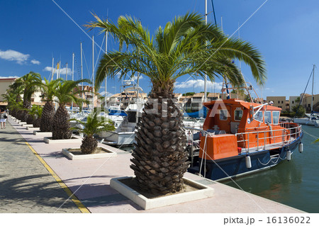 Marina in front of blue sky 16136022