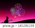 赤花火 16136139