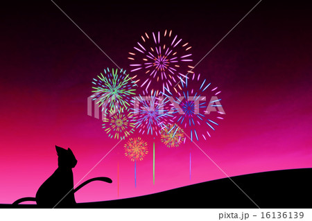赤花火 16136139