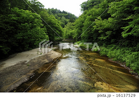 薬研渓流 16137529