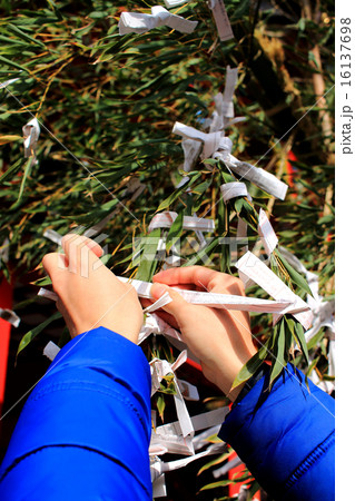 おみくじ  結び付け 16137698