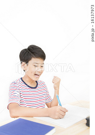 勉強する男の子 16137973