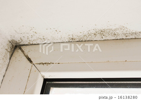 Mold near a window in the house 16138280