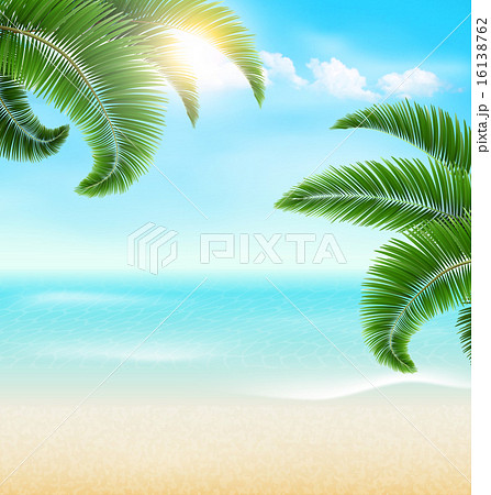 Beach with palm branches and clouds 16138762