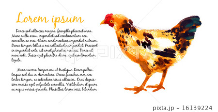 Design template with watercolor hens 16139224