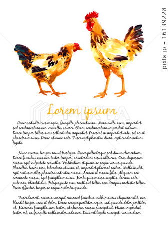 Design template with watercolor hens 16139228