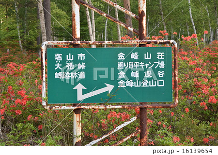 大弛峠と金峰山登山口の分岐点の看板 大弛峠と金峰山登山口の分岐点の看板 16139654