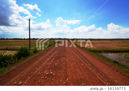 カンボジアの田舎道 16139773