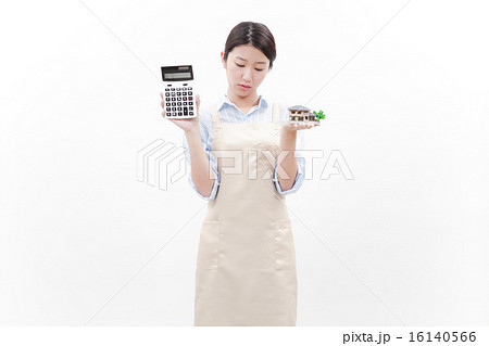 家の模型を持つ女性 16140566