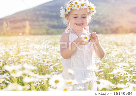 Cute little girl in the chamomile field Cute little girl in the chamomile field 16140984