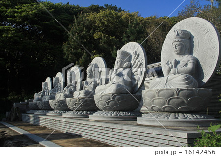 四国霊場第38番札所　金剛福寺  16142456